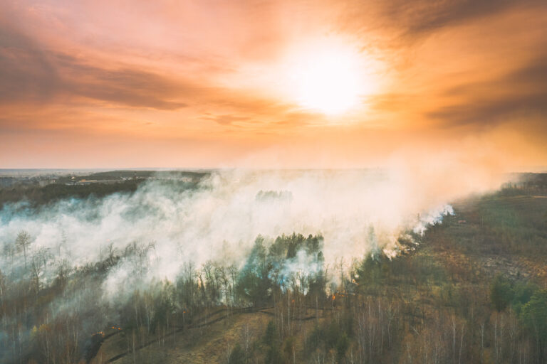 aerial view spring dry forest burns during drough 2025 02 25 10 13 05 utc 1 - Taranaki Media